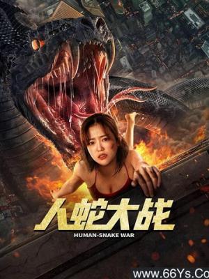 看个鸟